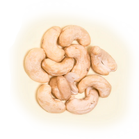 RAWBITE Crunchy Almond Proteinbar