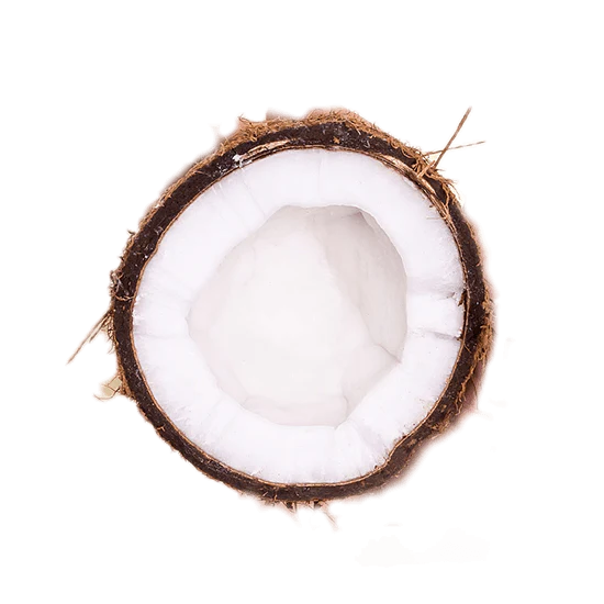 RAWBITE Coconut Bar 12 stk